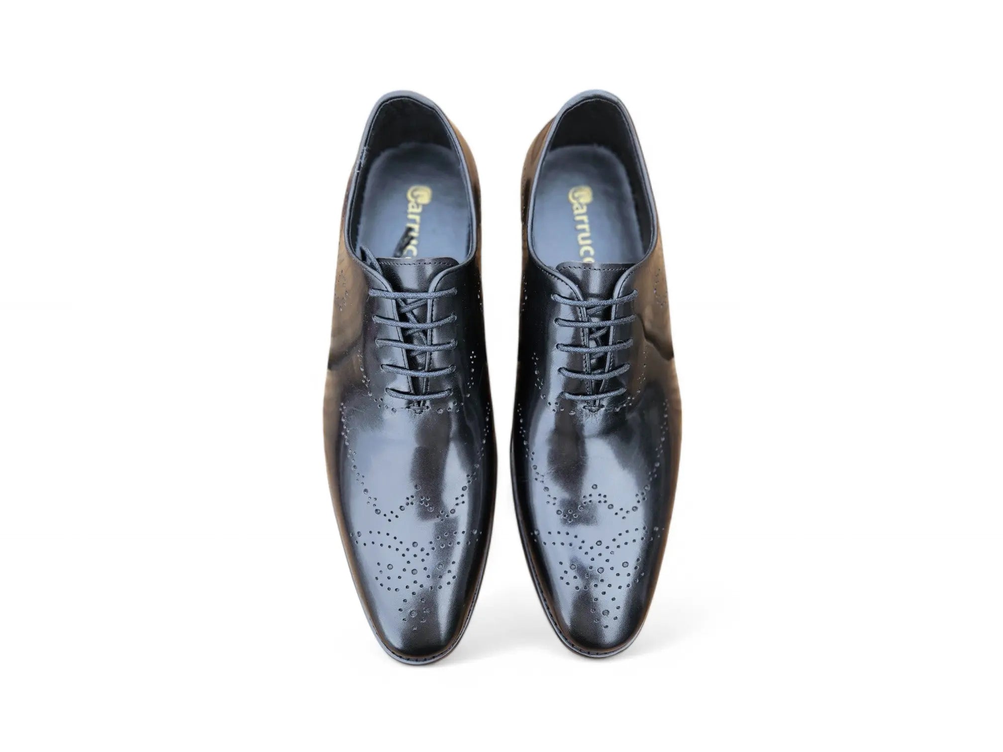 Whole Cut Oxford with Medallions Carrucci