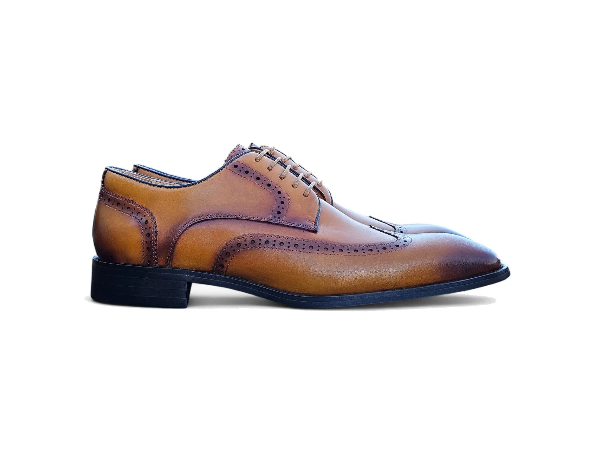 Blucher Style Wingtip Derby Carrucci