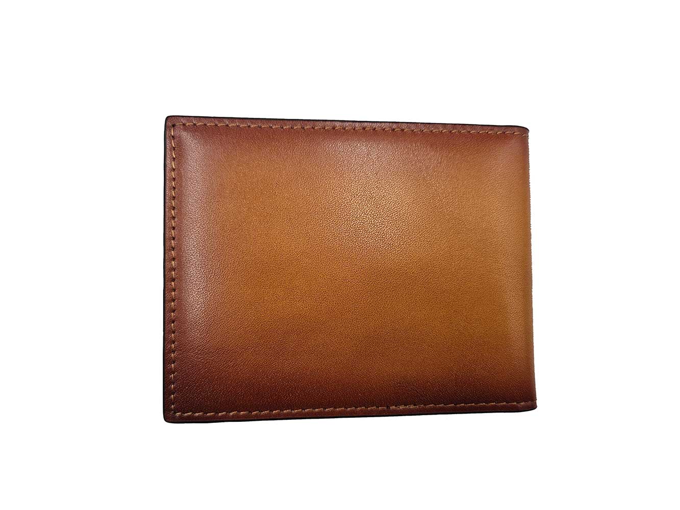 Money Clip Bifold Wallet Carrucci